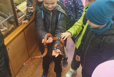 Exkurze MINIZOO MB