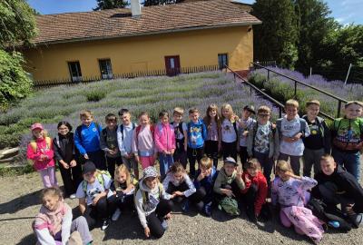 16. 6. - školní výlet Rodas Košátky
